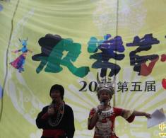 2015第五届欢乐苗年节！在京城成功举办!